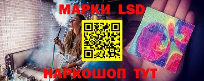 индика Пенза