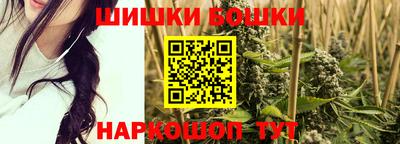 индика Пенза