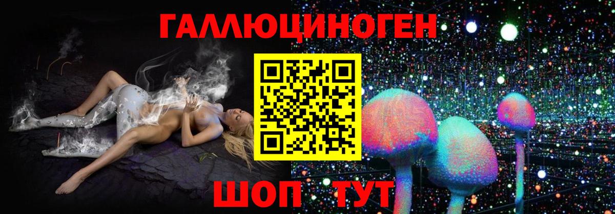 Псилоцибиновые грибы мухоморы Саянск