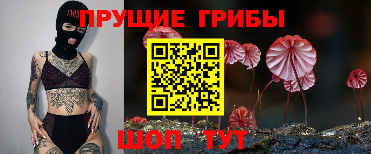наркота  Псилоцибиновые грибы Psilocybe  Псилоцибиновые грибы ЛСД  Вход с VPN  Саянск 